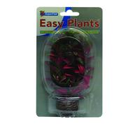 AQUADISTRIB-Plante artificielle aquarium rotala rouge, SUPERFISH Easy Plants - Taille standard