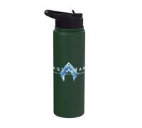 Aquaman and the Lost Kingdom Logo Stainless Steel Insulated Water Bottle