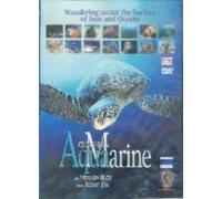 Aquamarine/Colours Of Sea - Special Interest