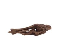 AquaOne Honey Comb Racine d'aquarium M N° 3791 Racine de mangrove en bois naturel Décoration d'aquarium Paysage mousse naturelle en bois véritable