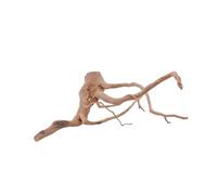 AquaOne L Racine de moorkien n° 1440 Décoration d'aquarium en bois naturel pour aquarium Paysage Moorkien Redwood Mangrove Mousse naturelle