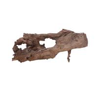 AquaOne Racine d'aquarium décorative XL Racine de mangrove Aquascaping en bois véritable N° 2253 Plantes aquatiques Paysage mousse naturelle