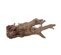 AquaOne Racine d'aquarium décorative XL Racine de mangrove Aquascaping en bois véritable N° 2256 Plantes aquatiques Paysage mousse naturelle