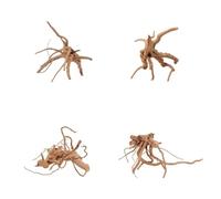 AquaOne Racine d'aquarium M 15-25 cm - Racine de tourbillon en filigrane pour aquascaping, décoration naturelle et plantes à relever - Pièce unique sélectionnée à la main pour aquarium d'eau douce