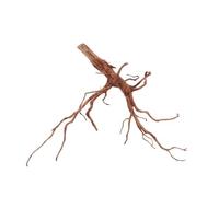 AquaOne Racine d'aquarium XL Red Spider #1059 - Racine en bois de tourbier - Décoration d'aquarium - Paysage - Mangrove - Moorkien naturel - En bois véritable