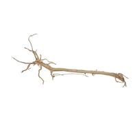 AquaOne Racine de moorkien XXL n° 1658 - Racine en bois - Décoration d'aquarium - Paysage - Moorkien - Redwood - Mangrove - Mousse naturelle