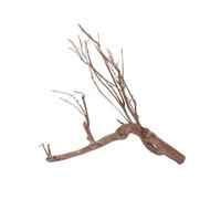 AquaOne Racine de talawa XL n° 1426 - Racine en bois - Décoration d'aquarium - Paysage - Mangrove - Moorkwood - Bois naturel