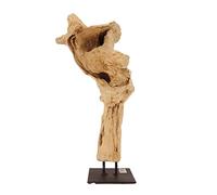 AquaOne Sculpture décorative en bois flotté Oslo I Bois naturel rustique racine de mangrove I Meubles Décoration naturelle de table I Fait main racine en teck unique moderne