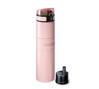AQUAPHOR City Cool Bouteille d'Eau Filtrante - Double Paroi Isotherme en Acier Inoxydable - 500ml (Rose)