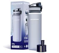 AQUAPHOR City Gourde Filtrante avec filtre à charbon actif (Gris)