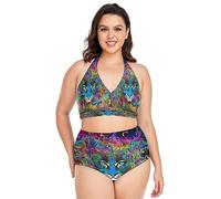 Aquarelle Art Tigre Bikini Grande Taille Femme Maillot de Bain 2 Pièce Swimsuit pour Plage Filles
