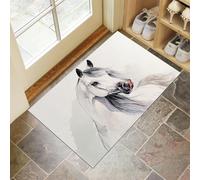 Aquarelle Cheval Paillasson Intérieur Tapis 45 X 75 Cm Entrée Intérieur,Antidérapant,Absorbant,Tapis pour Entrée,Lavable,Cuisine,Salle De Bain-Gris Clair Animaux Simples
