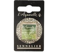 Aquarelle Extra-Fine 1/2 Godet Vert De Vessie Sennelier