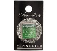 Aquarelle Extra-Fine 1/2 Godet Vert Sennelier G