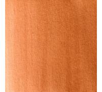 Aquarelle extra-fine godet géant - Terre de Sienne foncée