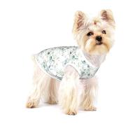 Aquarelle Feuille Florale Verte Eucalyptus Feuilles Rondes Succulentes,T-Shirt sans Manches en Coton pour Animaux de Compagnie, Gilet Respirant, Extensible et Doux,M