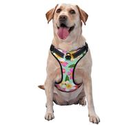 Aquarelle Fleurs Tropicales Floral Plumeria,Harnais pour Animaux de Compagnie, Harnais réfléchissant réglable pour Chien,M
