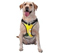 Aquarelle Fruits d'été Citrons Feuilles Slich,Harnais pour Animaux de Compagnie, Harnais réfléchissant réglable pour Chien,M
