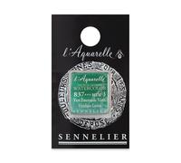 Aquarelle Sennelier, demi-godet, couleur viridian S3