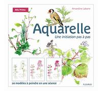 Aquarelle, une initiation pas à pas: 20 modèles à peindre en une séance