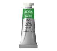 Winsor & Newton Aquarelle Professionnel - Peinture Aquarelle, Haute Luminosité, Résistante à la Lumière, Qualité Archive, Tube de 14 ML, Couleur Vert de Vessie Permanent