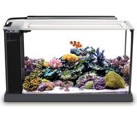 Fluval Kit d'aquarium Marin Evo V 10528A1, 5 gallons