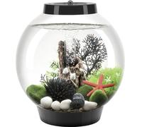 Aquarium 15 l Oase 71999 avec éclairage LED