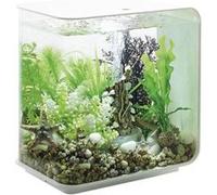 Aquarium 15 l Oase 72030 avec éclairage LED G