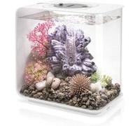 biOrb Flow Aquarium Compact Moderne en Acrylique de 15 litres avec lumières LED Multicolores télécommandées pour Dessus de Table ou de Bureau, Blanc
