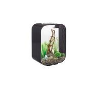 Aquarium 15l led noir Life 15 LED black