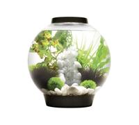 Aquarium 30 l 72005 avec éclairage LED