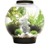 Aquarium 30 l Oase 72005 avec éclairage LED G