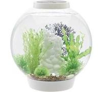 Aquarium 30 l Oase 72007 avec éclairage LED G