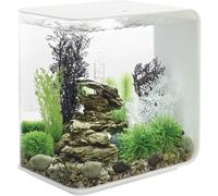 Aquarium 30 l Oase 72034 avec éclairage LED