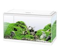 Aquarium 60 CIANO 58 L Filtre LED Chauffage Consommables G