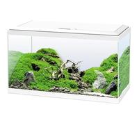 Aquarium 60 cm 58 L + filtre + LED + chauffage + consommables - Blanc Blanc G