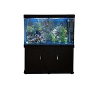 Aquarium à bords Noir avec Kit de Démarrage et Meuble de support Noir