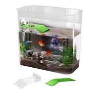 Aquarium à tortues, aquarium de poissons combattants, habitat de reptiles, initiateur de réservoir transparent, aquarium ornemental, zones multifonctions, petit aquarium, initiateur d'aquarium