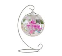 Aquarium Aquarium de Poissons de Combat Transparent Suspendu, Petit Aquarium de Bureau, Petit Poisson Rouge, réservoir en Verre Bac à Poisson(Blanc,Moyen)