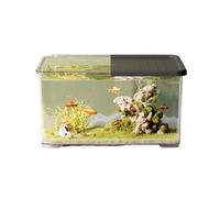 Aquarium Aquarium en Acrylique Transparent avec Couvercle Coulissant Petit Aquarium de Salon Bureau Aquarium Décoration de Bureau Aquarium à Tortues Bac à Poisson(Noir)