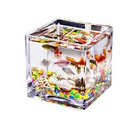 Aquarium Aquarium en Verre carré épais Transparent, comptoir, Petit réservoir Domestique for Aquariums, réservoir de Tortue écologique Bac à Poisson(Petit)