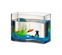 Aquarium Aquarium en Verre créatif en Forme de S Verre Transparent Poisson Rouge Aquarium Poissons tropicaux Petit Bureau Mini Aquarium Tortue réservoir Salon Aquariums Bac à Poisson