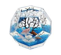 Aquarium Aquarium en Verre épais polyédrique, créatif, décoratif de Bureau, Aquarium de Poissons de Combat, Transparent Bac à Poisson(Moyen)