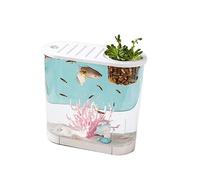 Aquarium Aquarium Petit Micro Paysage Transparent Aquarium Grand Écologique Maison avec Couvercle Bureau Ovale Peut être Planté Plantes Aquatiques Bac à Poisson(Grand)
