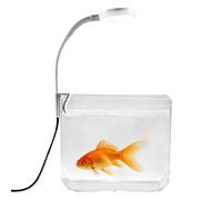Aquarium,Avec clip lumière et décoration de table transparente,Aquarium de Table pour Poissons Betta | Pour la maison chambre à séjour bureau hôtel famille adultes enfants