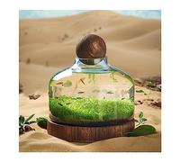 Aquarium Bouteille en Verre for Aquarium, Culture écologique, Micro Paysage, Petit réservoir de Plantes à Circulation Automatique avec Base en Bois, Ornements de Bureau Bac à Poisson(Moyen)