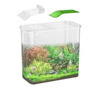 Aquarium Clear Desk - Aquarium compact pour poissons d'eau douce - Design fin pour les lieux de travail - Idéal pour soulager le stress et mettre en valeur la décoration - Facile à nettoyer -