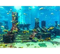 Aquarium corallien Fond sous-marin -Poster -Décoration du mur du réservoir à poissons Autocollant 61 x 30 cm