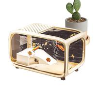 Aquarium De Bureau | Baignoire à Poissons avec Décoration Évolutive Pour Paysage - Habitat Clair avec Trou D'alimentation Supérieur pour Crevettes Escargots Aquatiques Betta