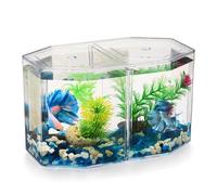 Aquarium de Bureau de Miniature: Petit Aquarium Betta avec Cloison Amovible pour Betta, Poisson Rouge - pour Enfants Débutants